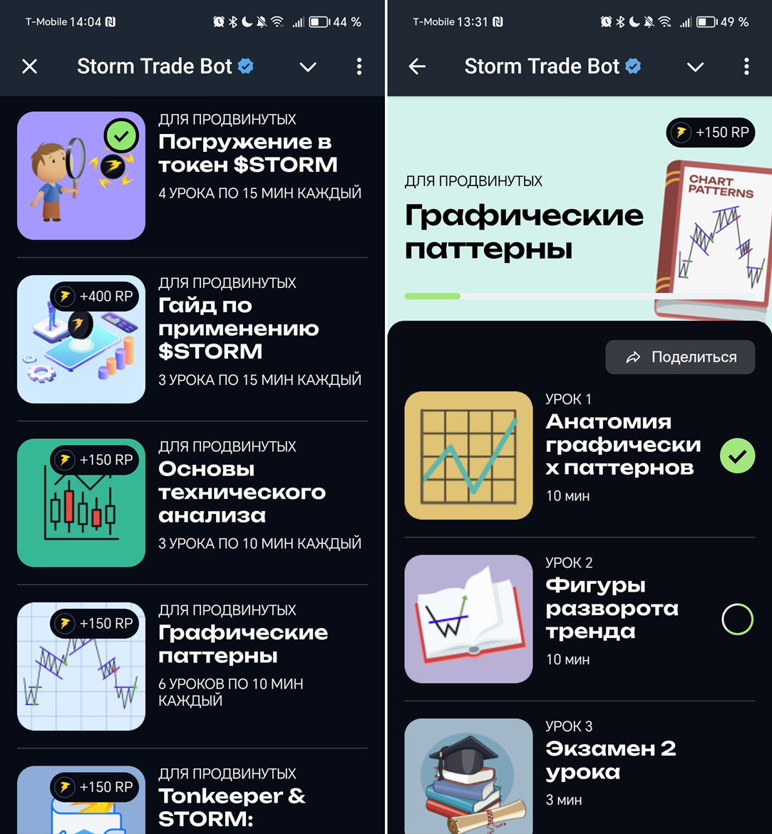 Главная страница Storm Academy